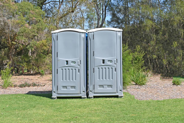 Best Pest Control for Lawns  in Cottonde, AL